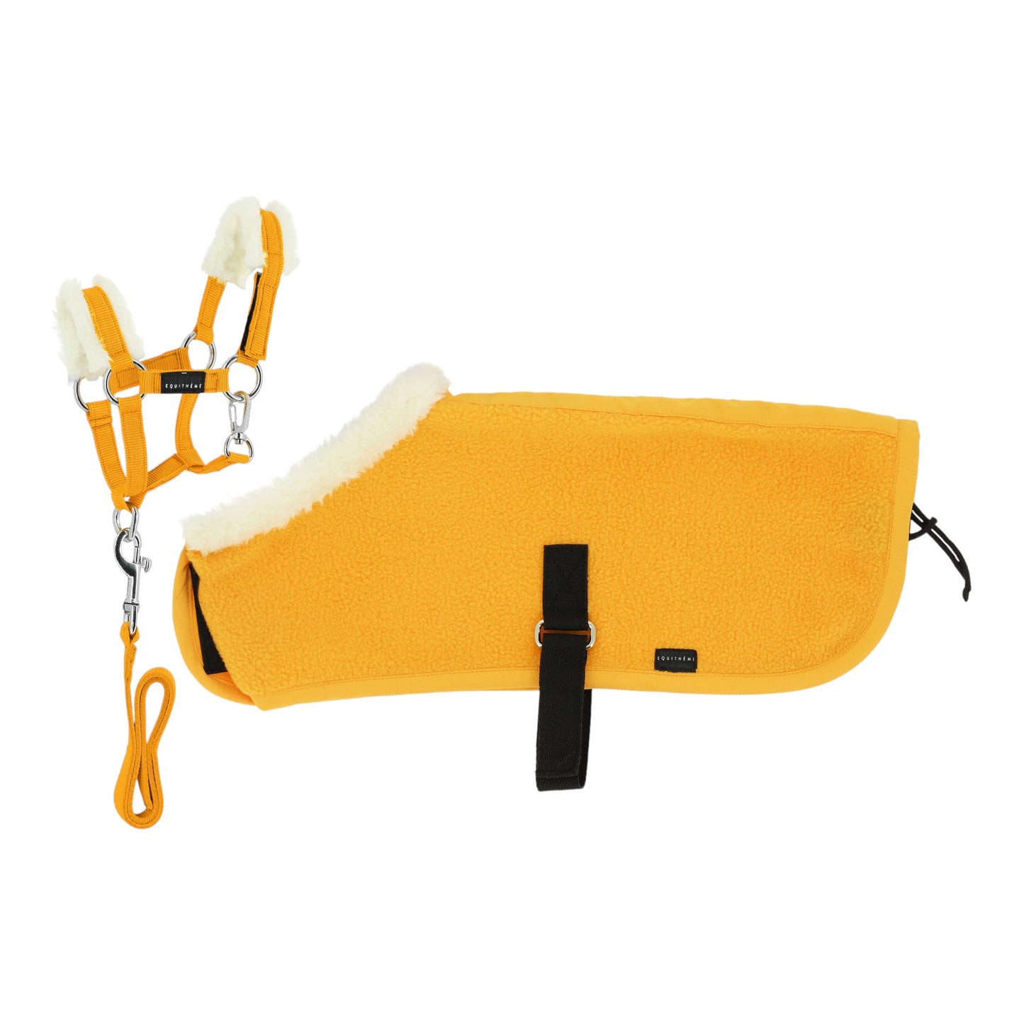 Pony Academy Set Mini Halter and Rug