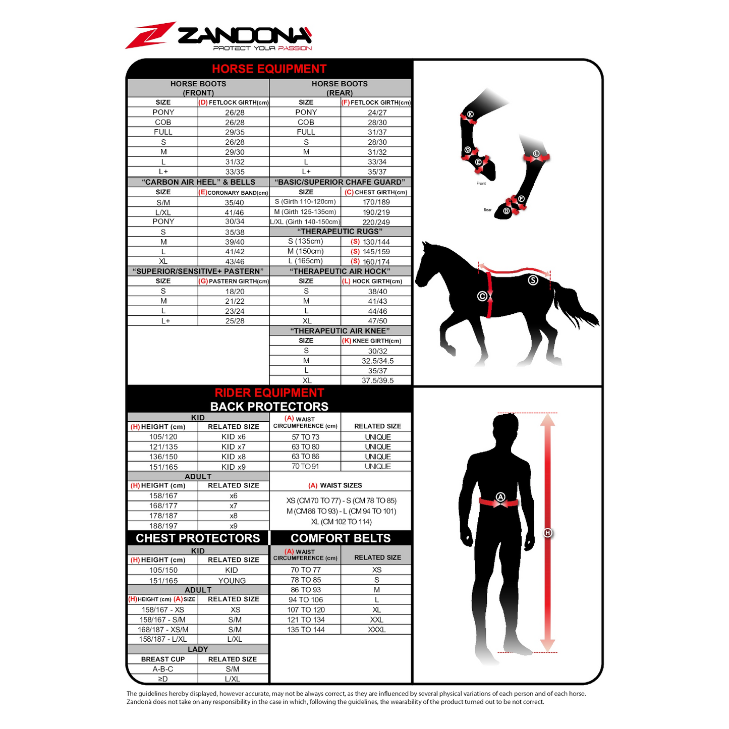 Zandona Action Fetlock