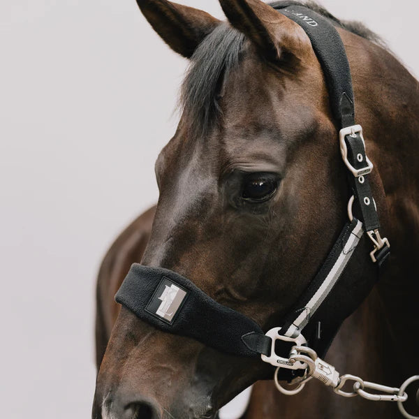 Kingsland Classic Halter with Fleece