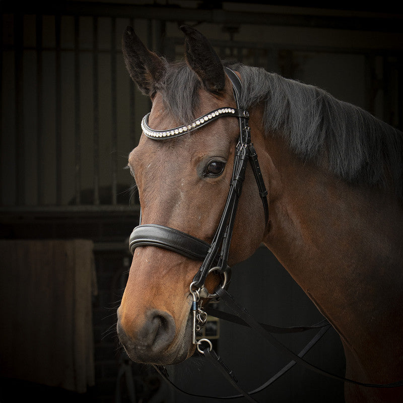 Harry's Horse Bridle Weymouth Soft crystal black