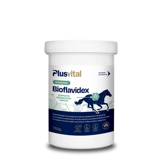 Plusvital Bioflavidex 750gr