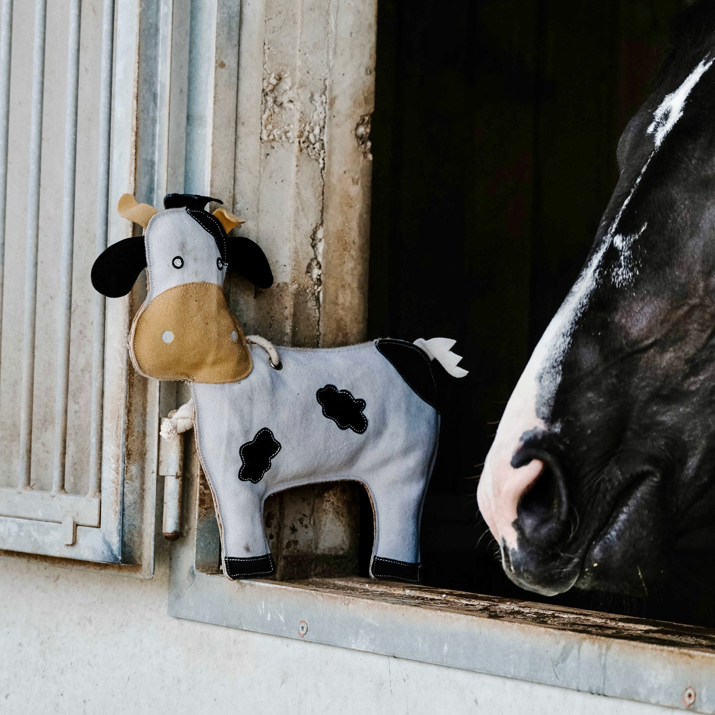 Hippotonic Horse toy