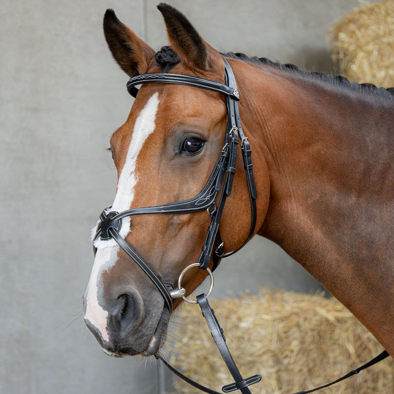 Harry’s Horse Mexican Bridle Anatomic
