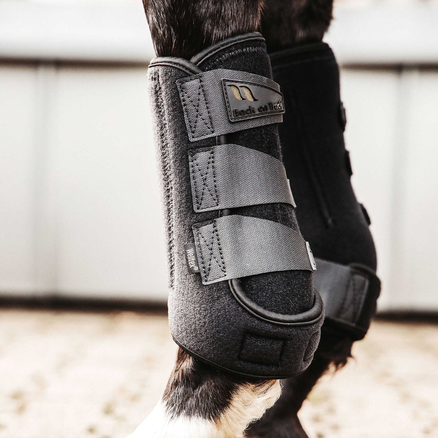 Back On Track Airflow Closed Working Tendon Boots