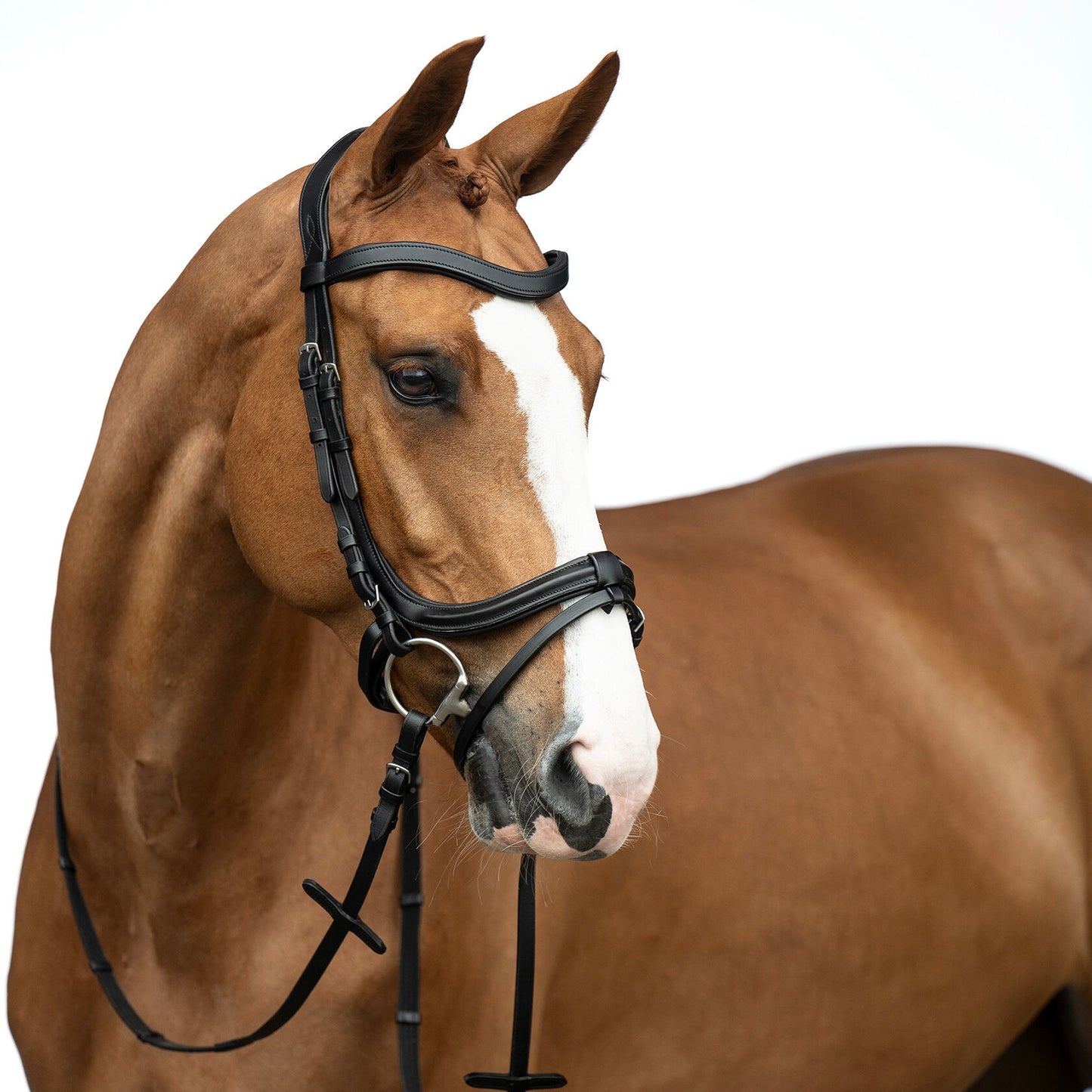 HKM Bridle Anatomic