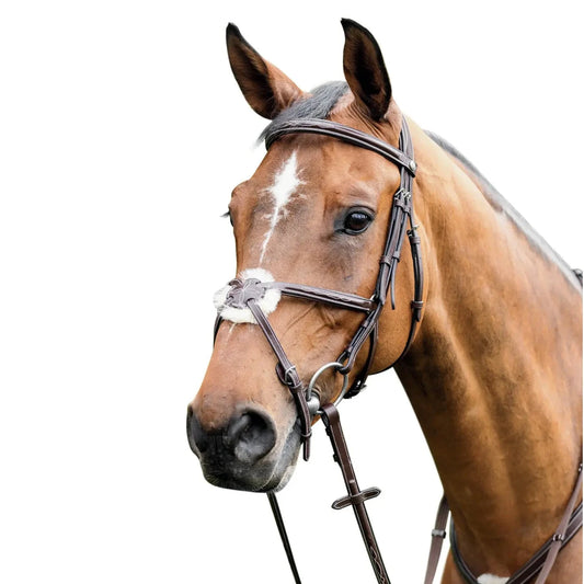 Prestige Italia 3E080 Mexican bridle