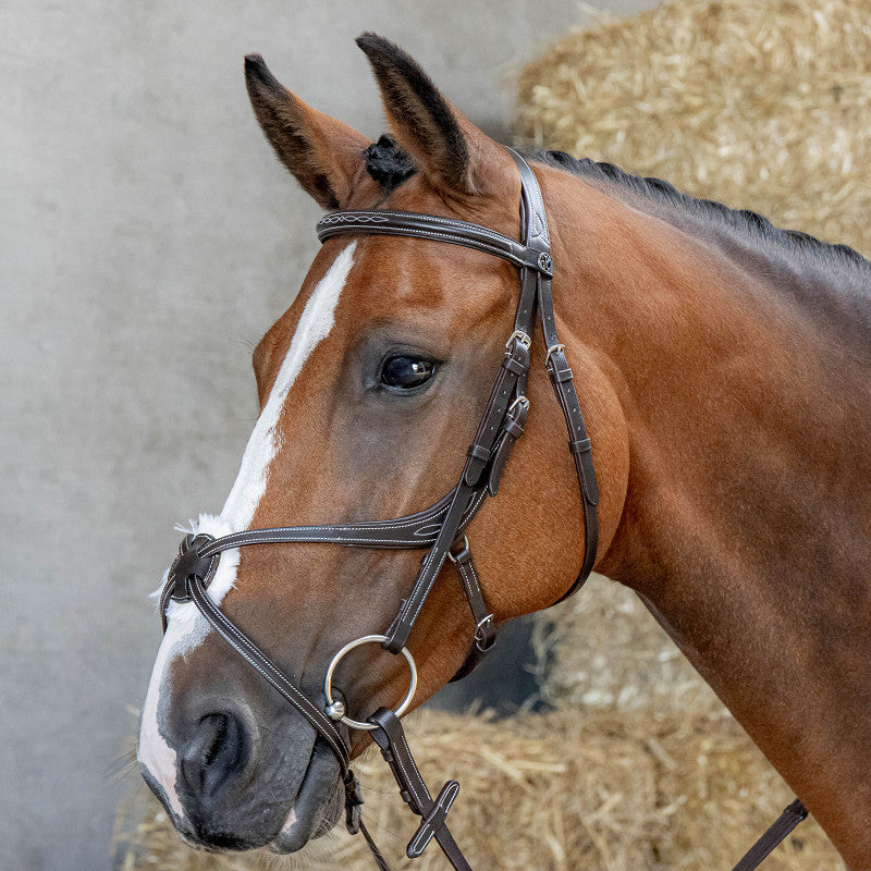 Harry’s Horse Mexican Bridle Anatomic