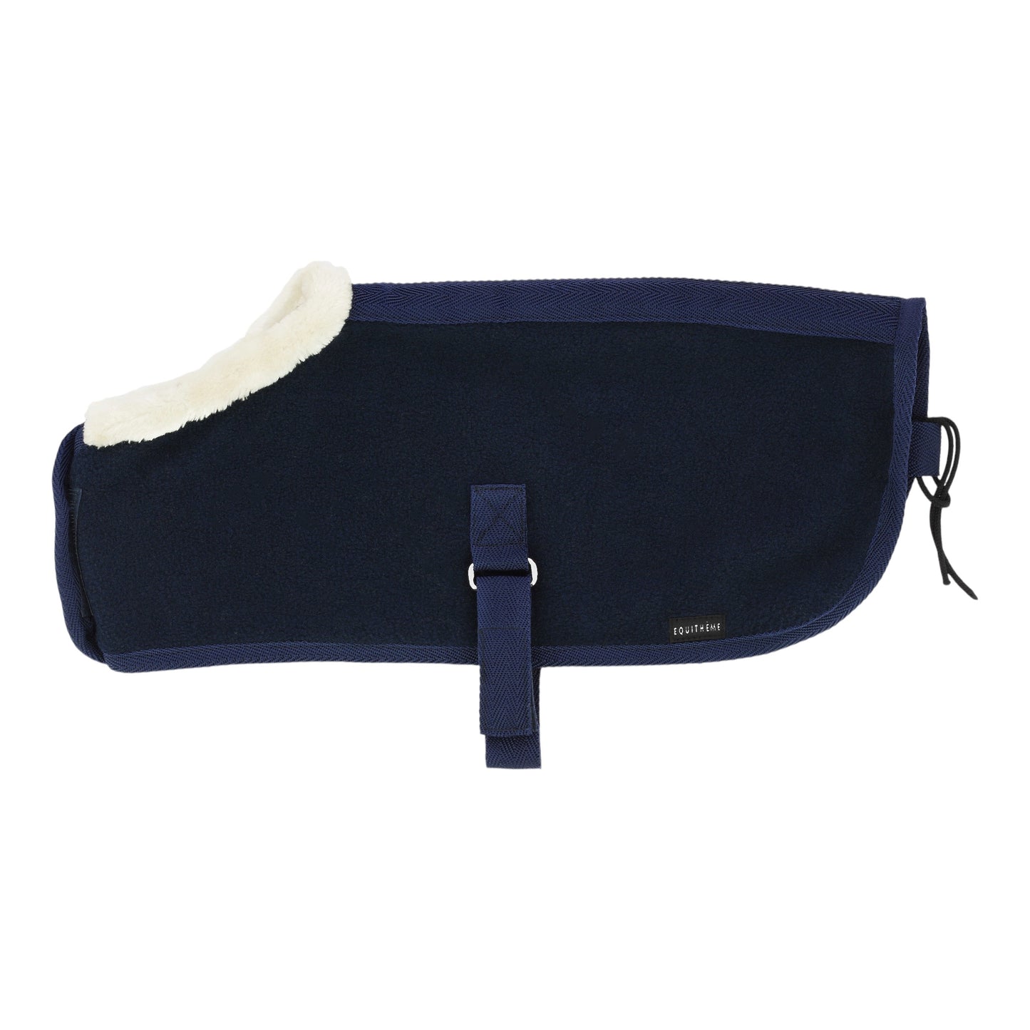 Pony Academy Mini Rugs