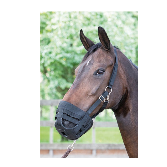 Harry’s Horse Grazing muzzle Air