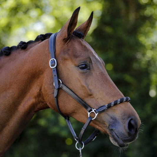 Acavallo Leather Halter With Ergonomic Pollguard - Rope Noseband