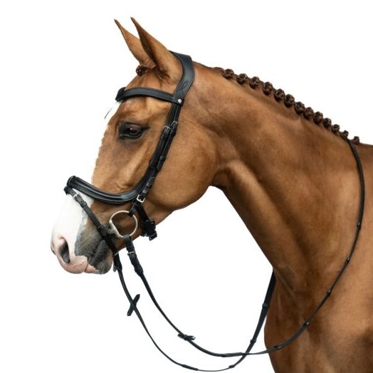 HKM Bridle Anatomic