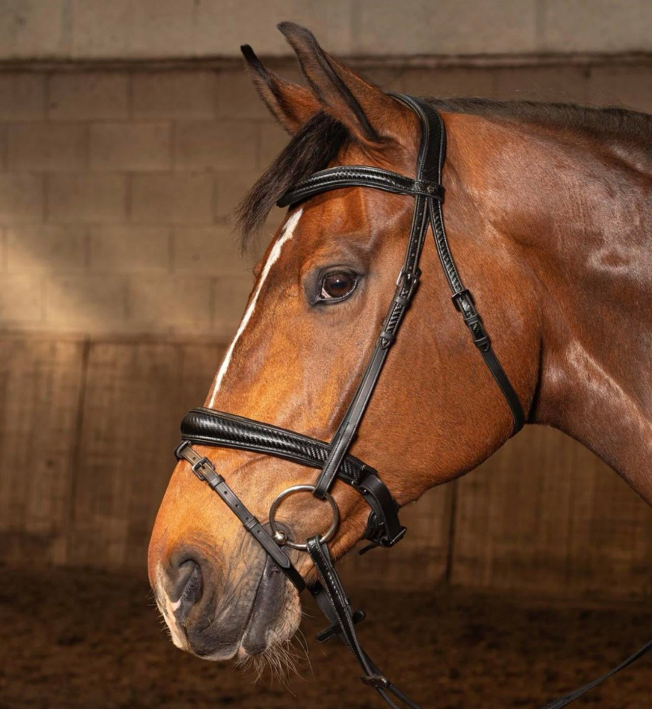 Harry's Horse Bridle Soft Carbon Black Edition