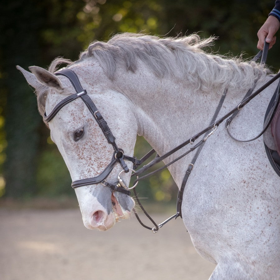 Jump'In New York bridle