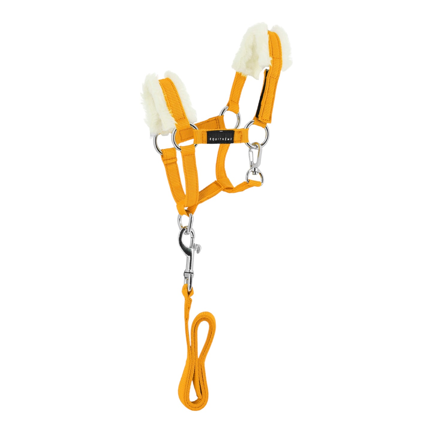 Pony Academy Mini Halter and Lead