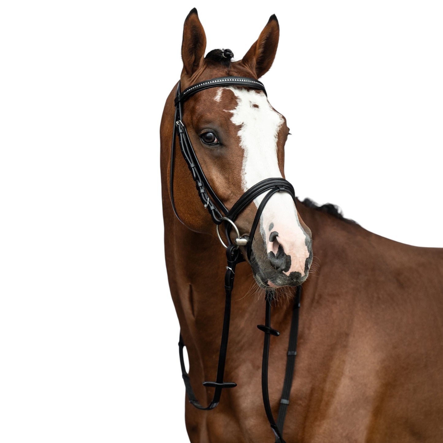 HKM Bridle Economic