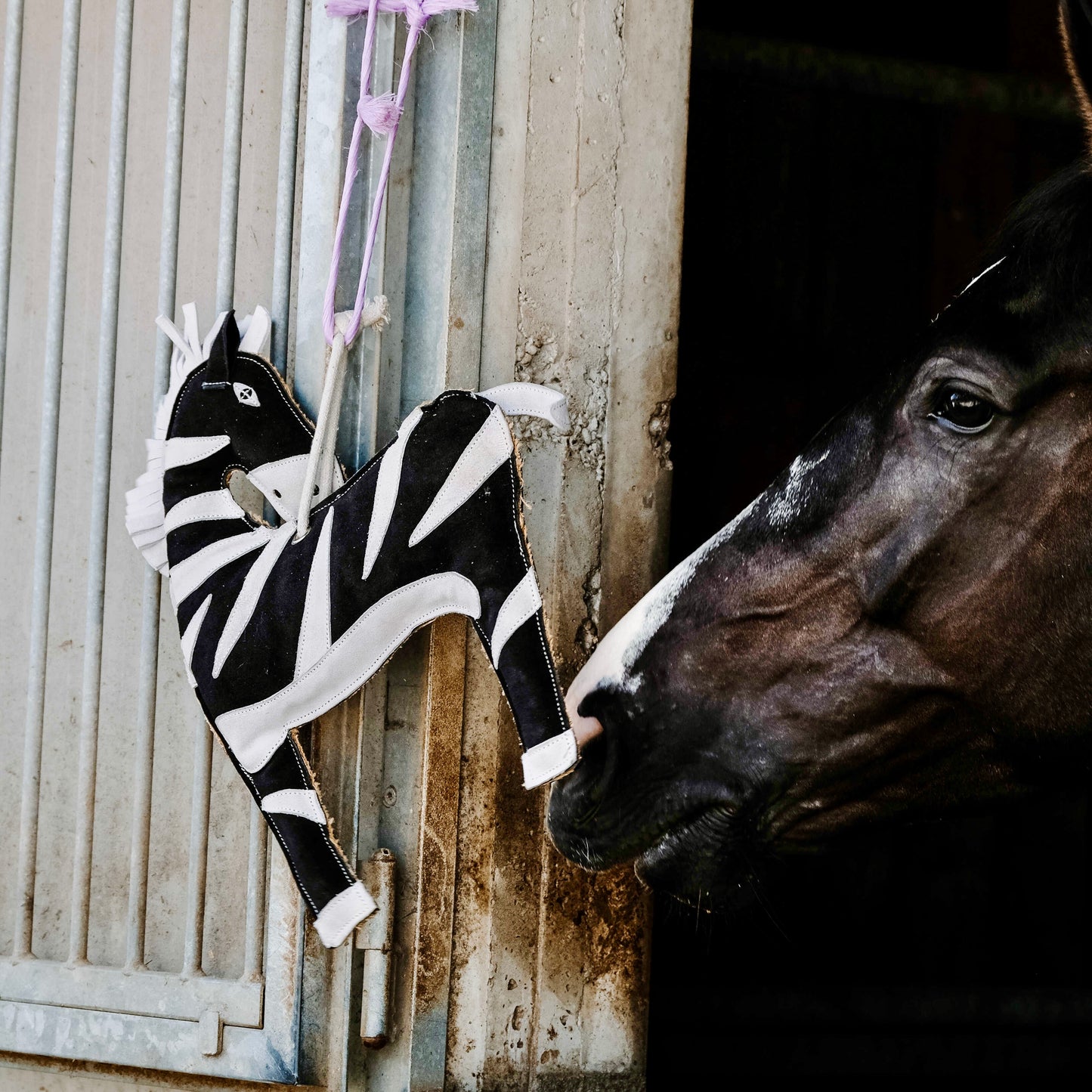 Hippotonic Horse toy