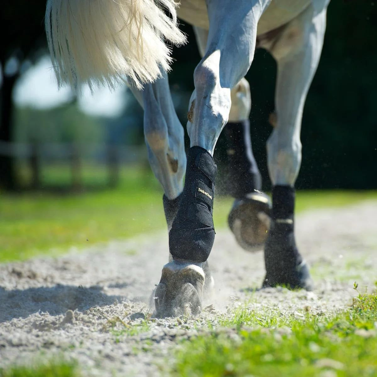 Back On Track Exercise Boots for hind leg