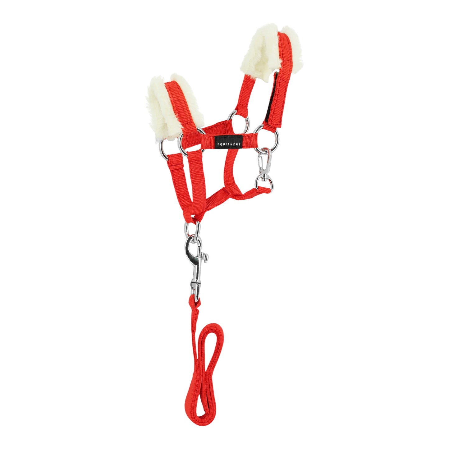 Pony Academy Mini Halter and Lead