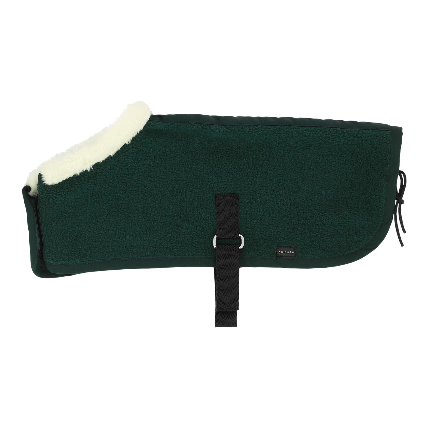 Pony Academy Mini Rugs