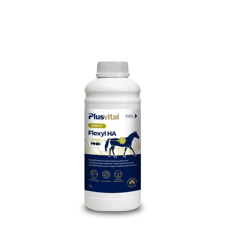 Plusvital Flexy HA 1L