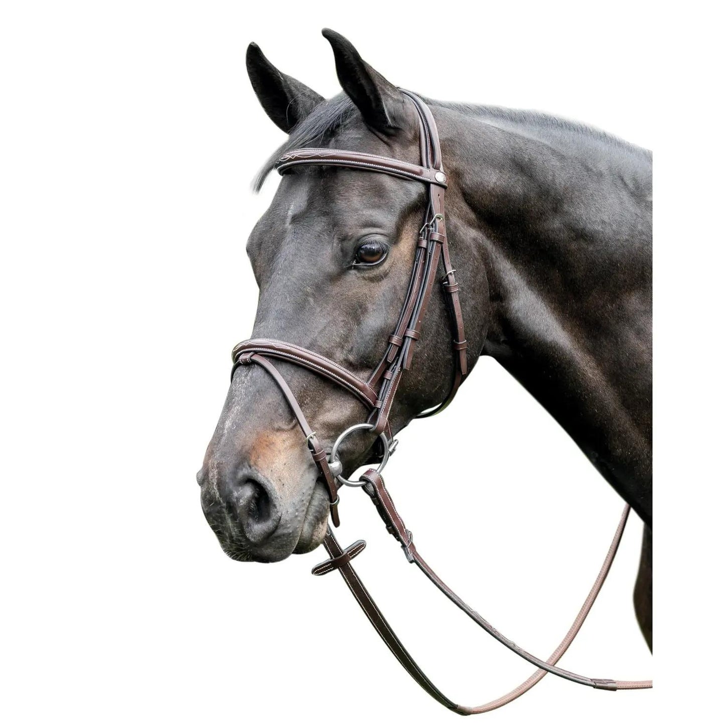 Prestige Italia 3E037 Leather raised bridle
