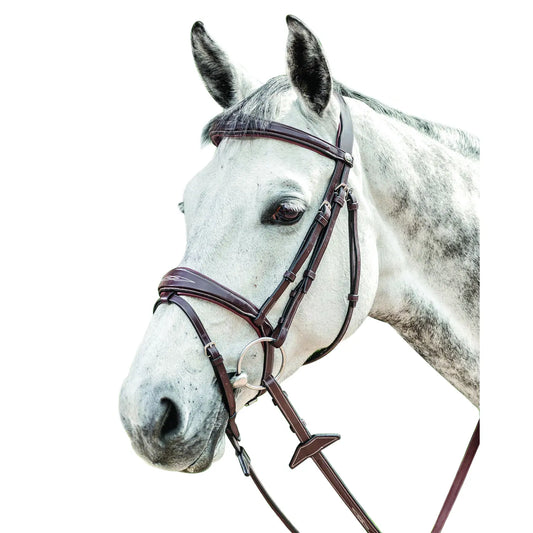Prestige English bridle 3E141