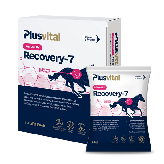 Plusvital Recovery-7