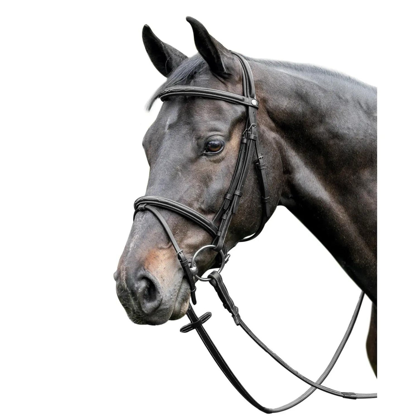 Prestige Italia 3E037 Leather raised bridle