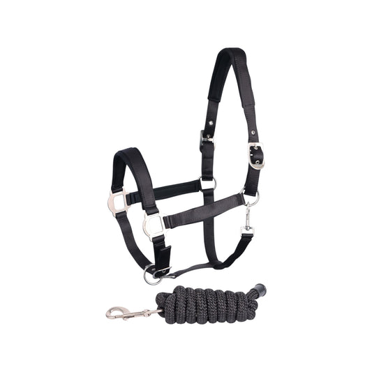 Harry's Horse Headcollar and lead Satin