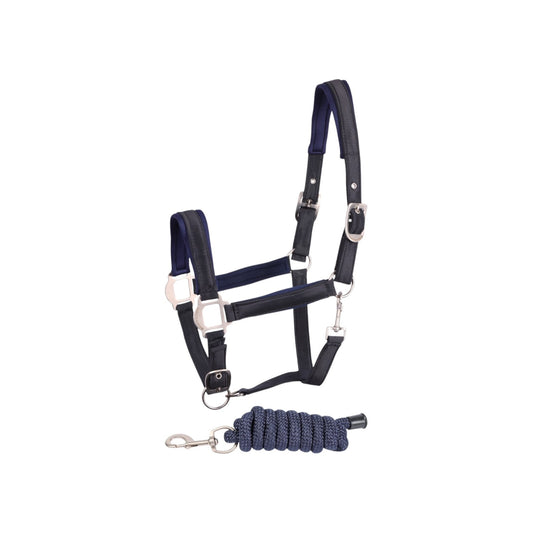 Harry's Horse Headcollar and lead Satin