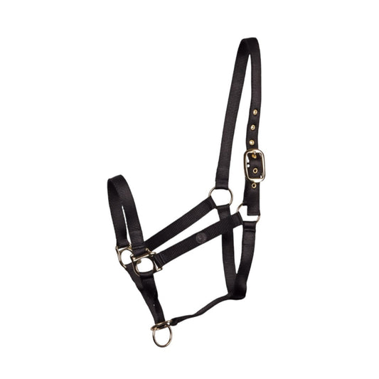Harry's Horse Headcollar controller