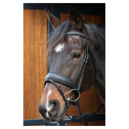 Harry's Horse Bridle Soft Bombastic Black Edition