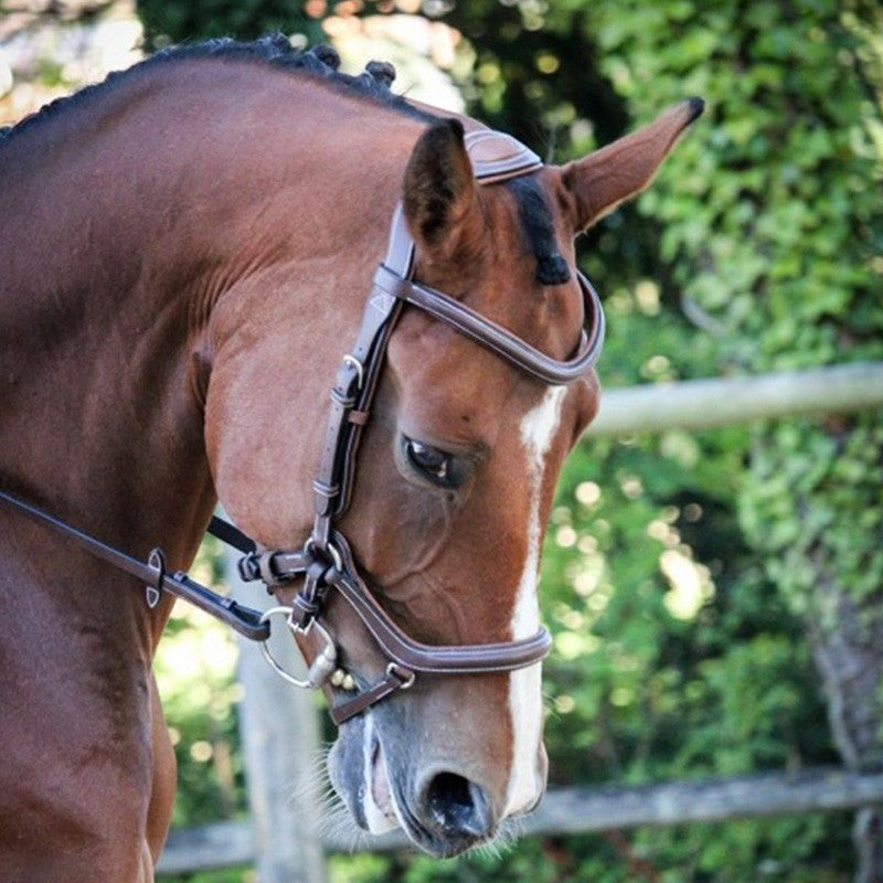 Jump'In New York bridle