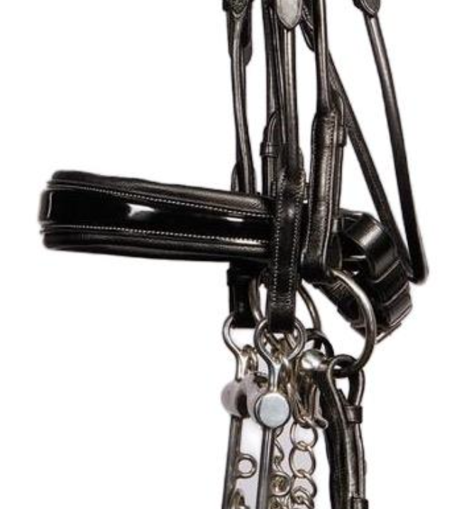 Harry's Horse Double Bridle Grand Prix