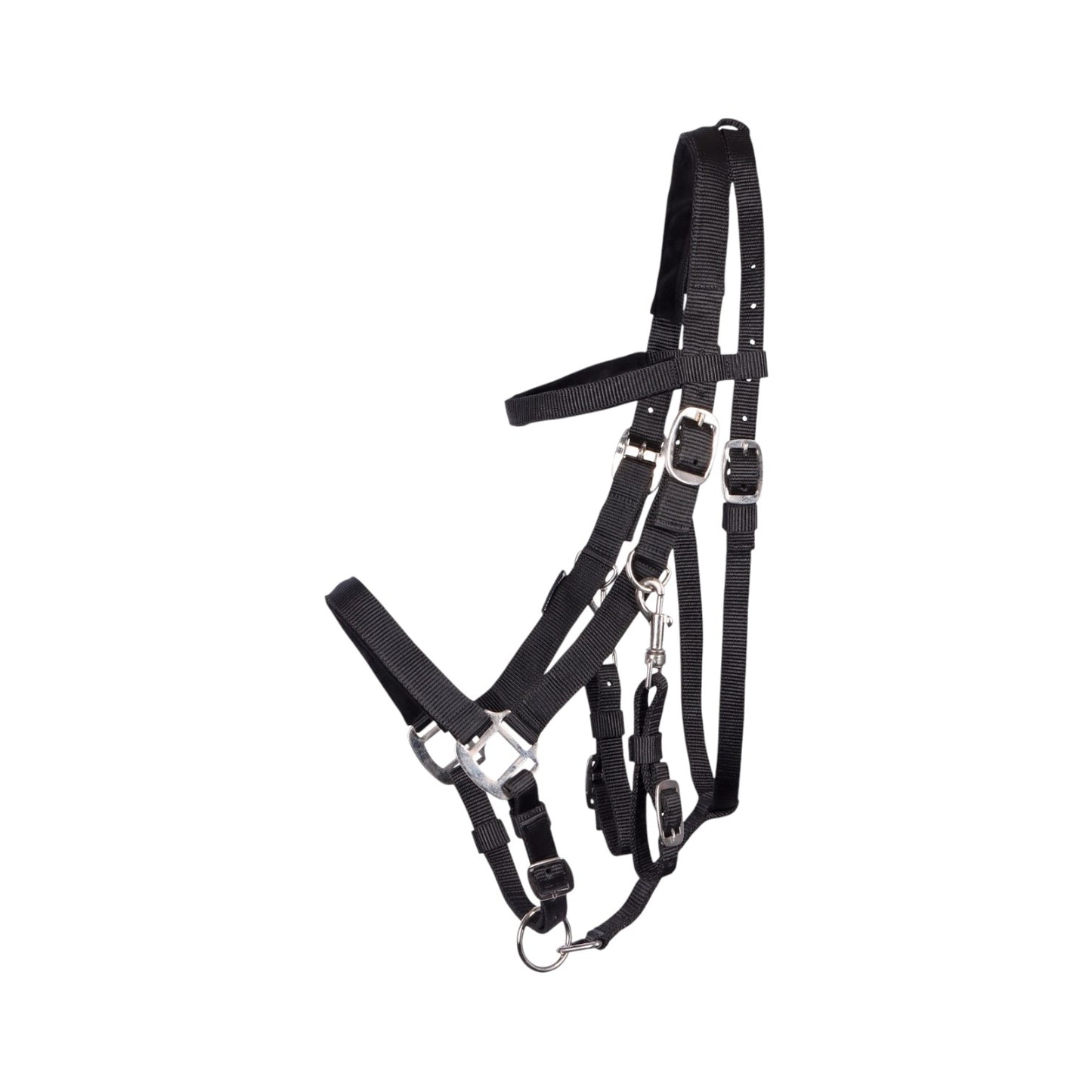 Harry's Horse Bridle Halter