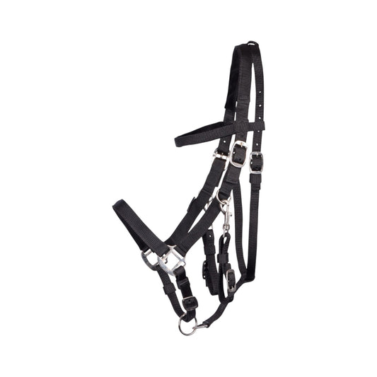 Harry's Horse Bridle Halter