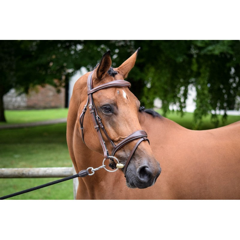 Jump'In Bruxelles bridle