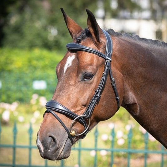 Jump'In Bruxelles bridle