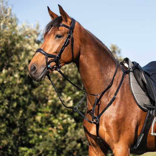 Acavallo Leather Hunting Breastplate