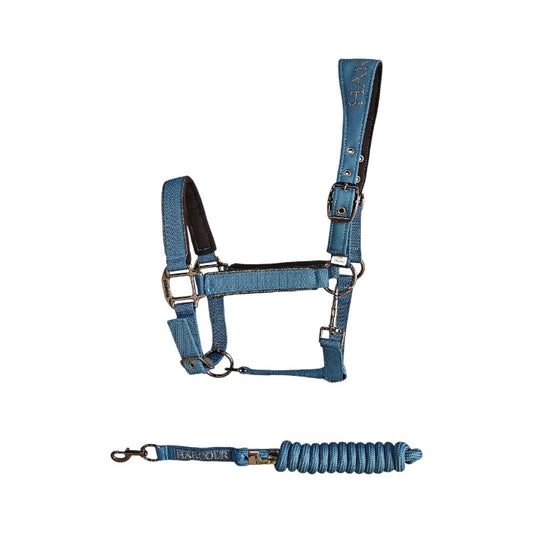 Harcour Hansy halter and Lead rope