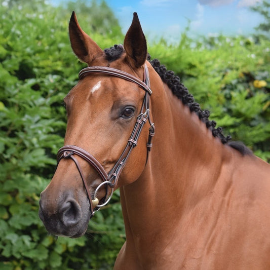 Jump'In Paris bridle