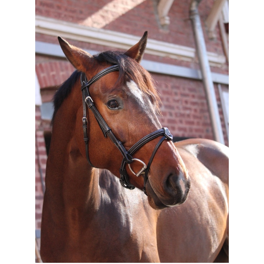 Jump'In Paris bridle